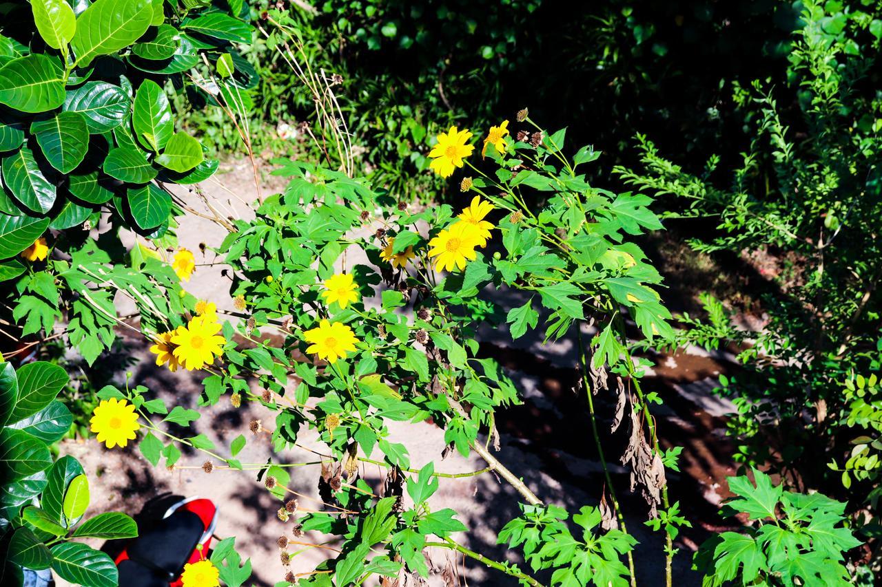 Nature Home Mirissa Exterior photo